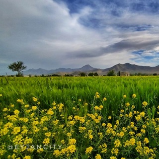Telegram profile photo for 🌼طبیعت ایجان🌼
