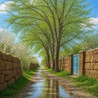 Telegram profile photo for ملاردکهن