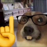 Telegram profile photo for Будни 6-а класса💀💀💀