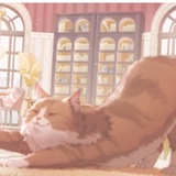 Telegram profile photo for let’s play with cats !!