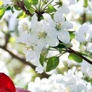 Telegram profile photo for СТОП ВОЙНА на УКРАИНЕ.Старт ВОЙНА ПРОТИВ ЕВРЕЕВ, ШВЕДОВ!
