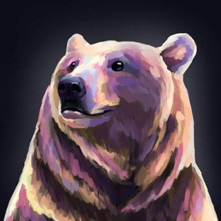 Telegram profile photo for 🐻 Bear Calls 🐻