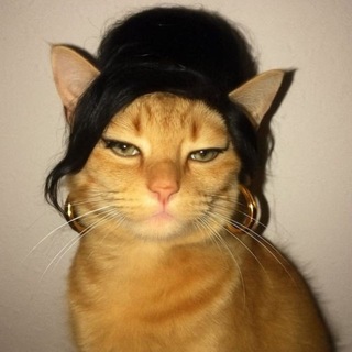 Telegram profile photo for демки, мысли