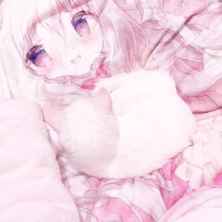 Telegram profile photo for переходник @lawexxw