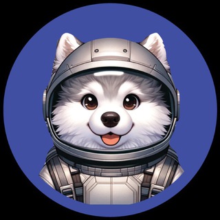 Telegram profile photo for Combat Airdrops