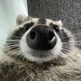Telegram profile photo for новости сервера