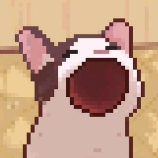 Telegram profile photo for PIXCAT PORTAL