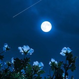 Telegram profile photo for زاد الجنة