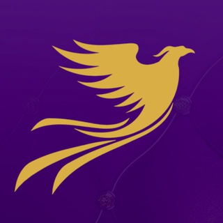 Telegram profile photo for Discount Casino & Bahis