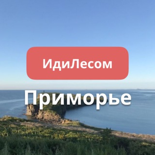 Telegram profile photo for ИдиЛесом Приморье путешествия