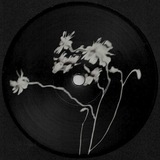 Telegram profile photo for give us a little love