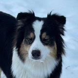 Telegram profile photo for глубины света