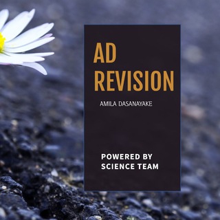 Telegram profile photo for AD 25/24 REVISION