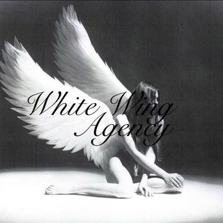 Telegram profile photo for WhiteWingBloggers