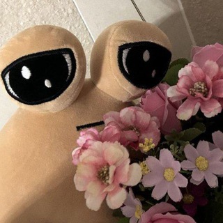 Telegram profile photo for мойшин архив