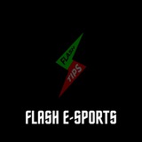 Telegram profile photo for FLASH E-SPORTS