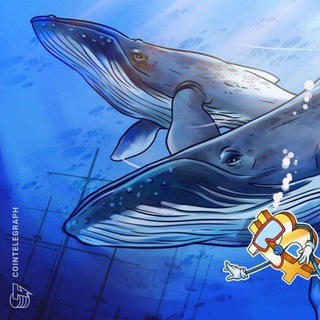 Telegram profile photo for 🇨🇳 Chinese Crypto whales 🐋