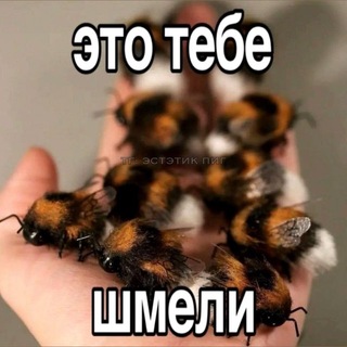 Telegram profile photo for Стыд позор