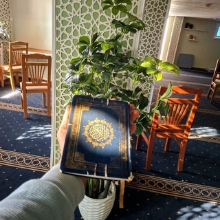 Telegram profile photo for بالقُرآنِ نَحيا
