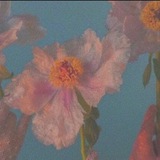 Telegram profile photo for Flowers