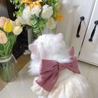 Telegram group profile photo for 嘴馋小猫の买卖群