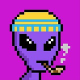 Telegram profile photo for Young | 🐋 | AirDrop