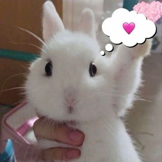 Telegram profile photo for hey.prettycamy♡