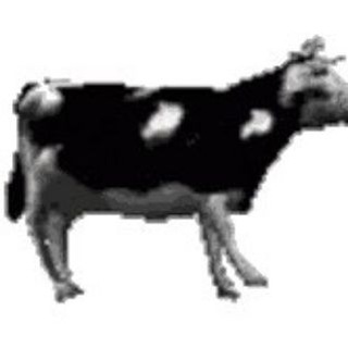 Telegram profile photo for Черничный стол🫐
