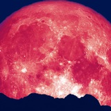 Telegram profile photo for Full Moon Calls