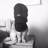 Telegram profile photo for Счастливые женщины постят