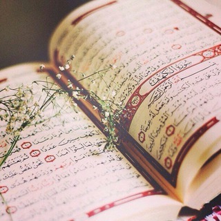 Telegram profile photo for Tv Qran لنشر القرآن الكريم