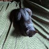 Telegram profile photo for каты кожны дзень