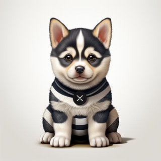 Telegram profile photo for Ripple Inu - The XRP Dog