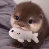Telegram profile photo for rep anonely