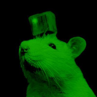 Telegram profile photo for $PYTHIA Community Portal