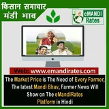 Telegram profile photo for E Mandi Rates 【Mandi Bhav】