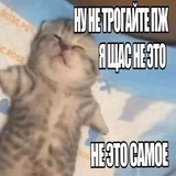 Telegram profile photo for Саша