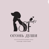 Telegram profile photo for БФ помощи животным "Огонь души"🐾