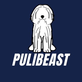 Telegram group profile photo for PULIBEAST Official πΆπΆπΆ - We're LIVE ON PANCAKESWAP ππππππππ
