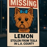Telegram profile photo for $Lemon