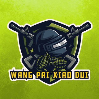 Telegram profile photo for 王牌小队|ETH & SOL & BSC