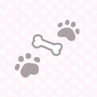 Telegram profile photo for ๐๐๐๐๐ข-๐๐๐๐.. โก