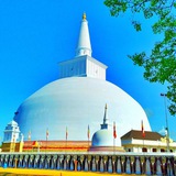 Telegram profile photo for 斯里兰卡中文网(每日更新)