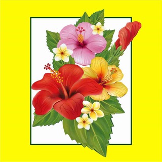 Telegram profile photo for Садовая выставка в Краснодаре