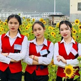 Telegram profile photo for 开云棋牌-足球-AG-PG-电子游戏