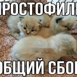 Telegram profile photo for канал смешнявок