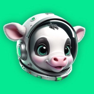 Telegram profile photo for SPOT PORTAL