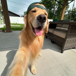 Telegram profile photo for IMMORTAL