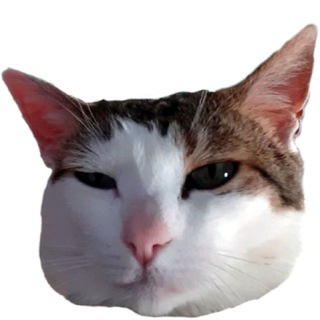 Telegram profile photo for Audiencias.info - Comprar productos de series, cine y videojuegos