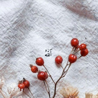 Telegram profile photo for لا مستحيل مع الله